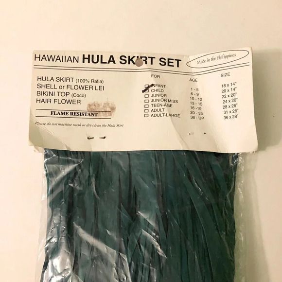 Hawaiin Hula Girl Costume With Raffia Skirt And Coconut Top Child Size Halloween - Picture 6 of 16